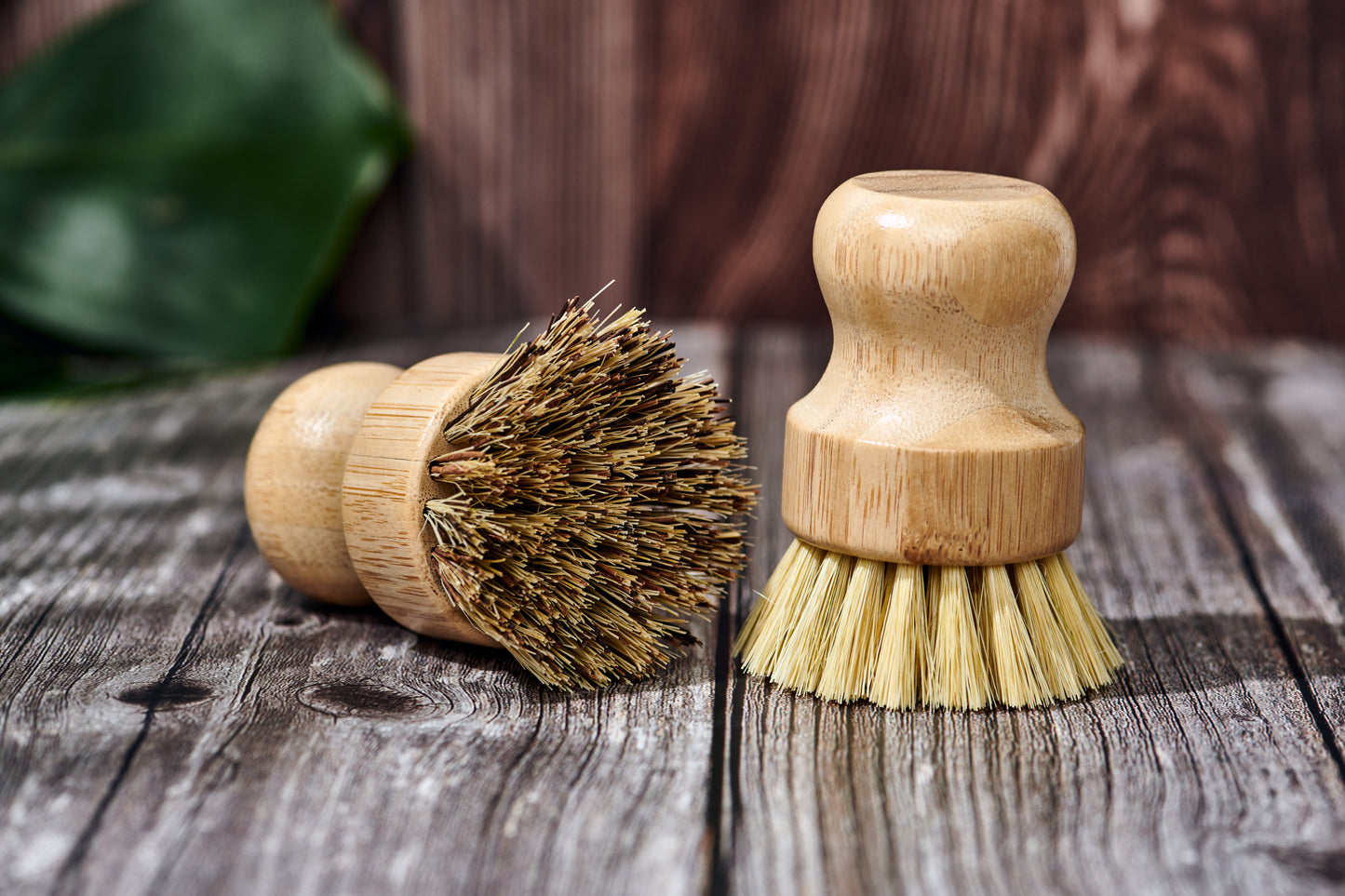 Bamboo Handle-Less Dish Scrubbing Brush