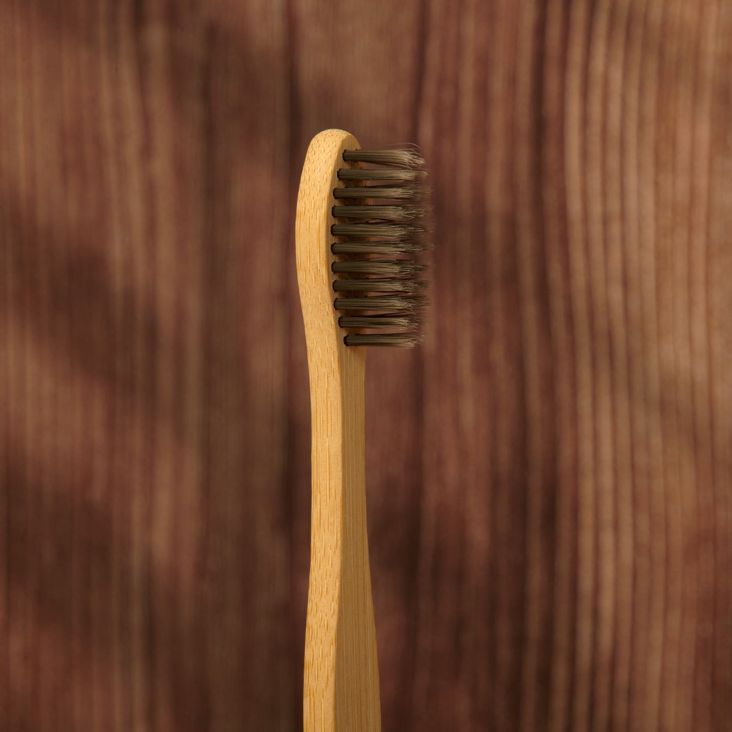 Bamboo Toothbrush (Single)