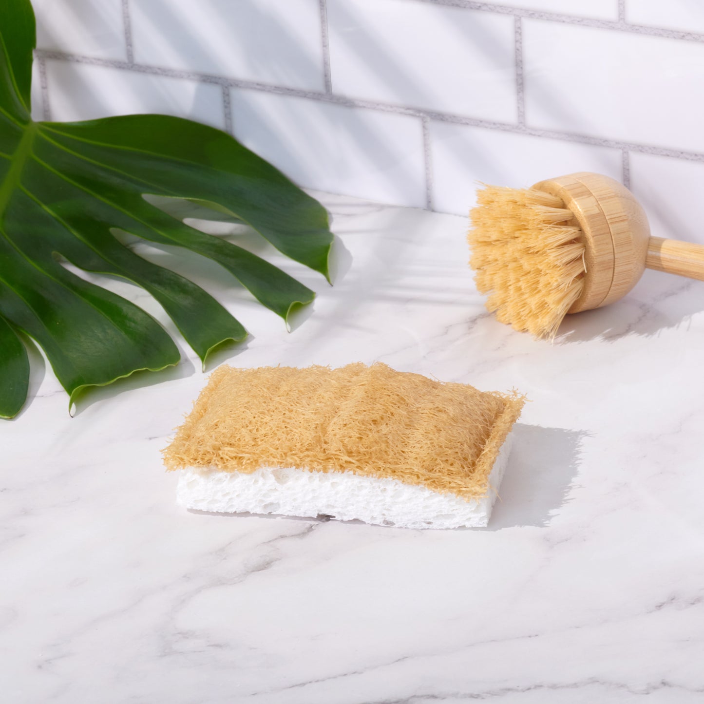 Cellulose Dish Sponge