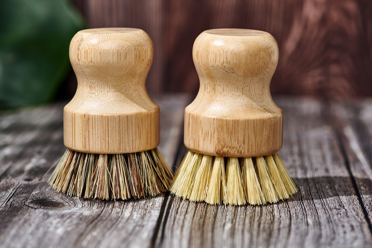 Bamboo Handle-Less Dish Scrubbing Brush