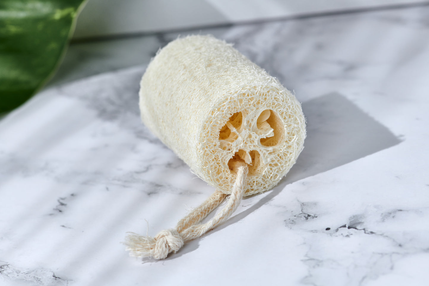 Natural Loofah Exfoliating Slice