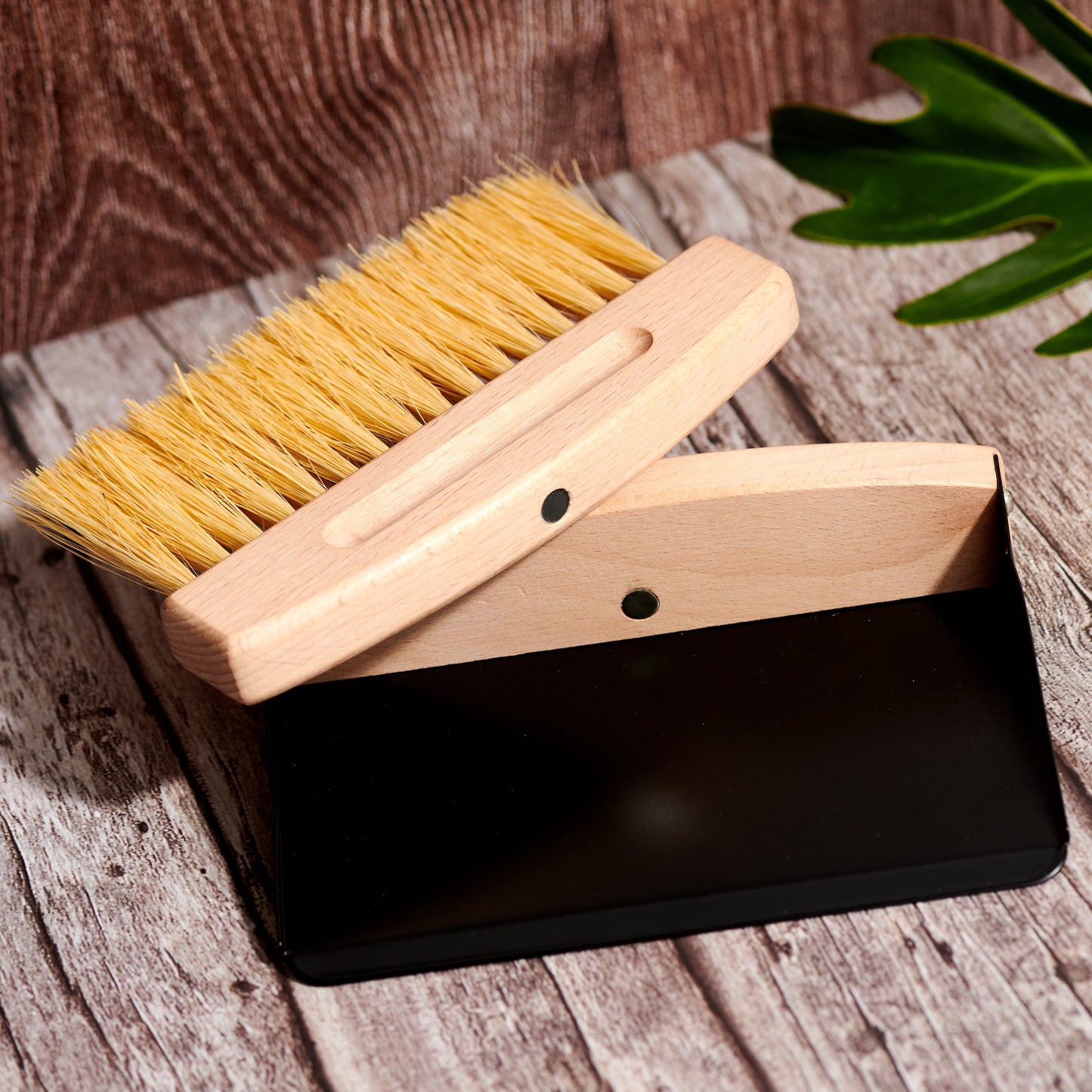 Wood Broom and Metal Dustpan
