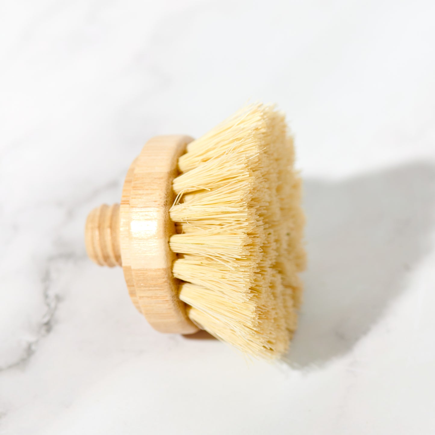 Replacement Head for Bamboo Dish Scrubbing Brush