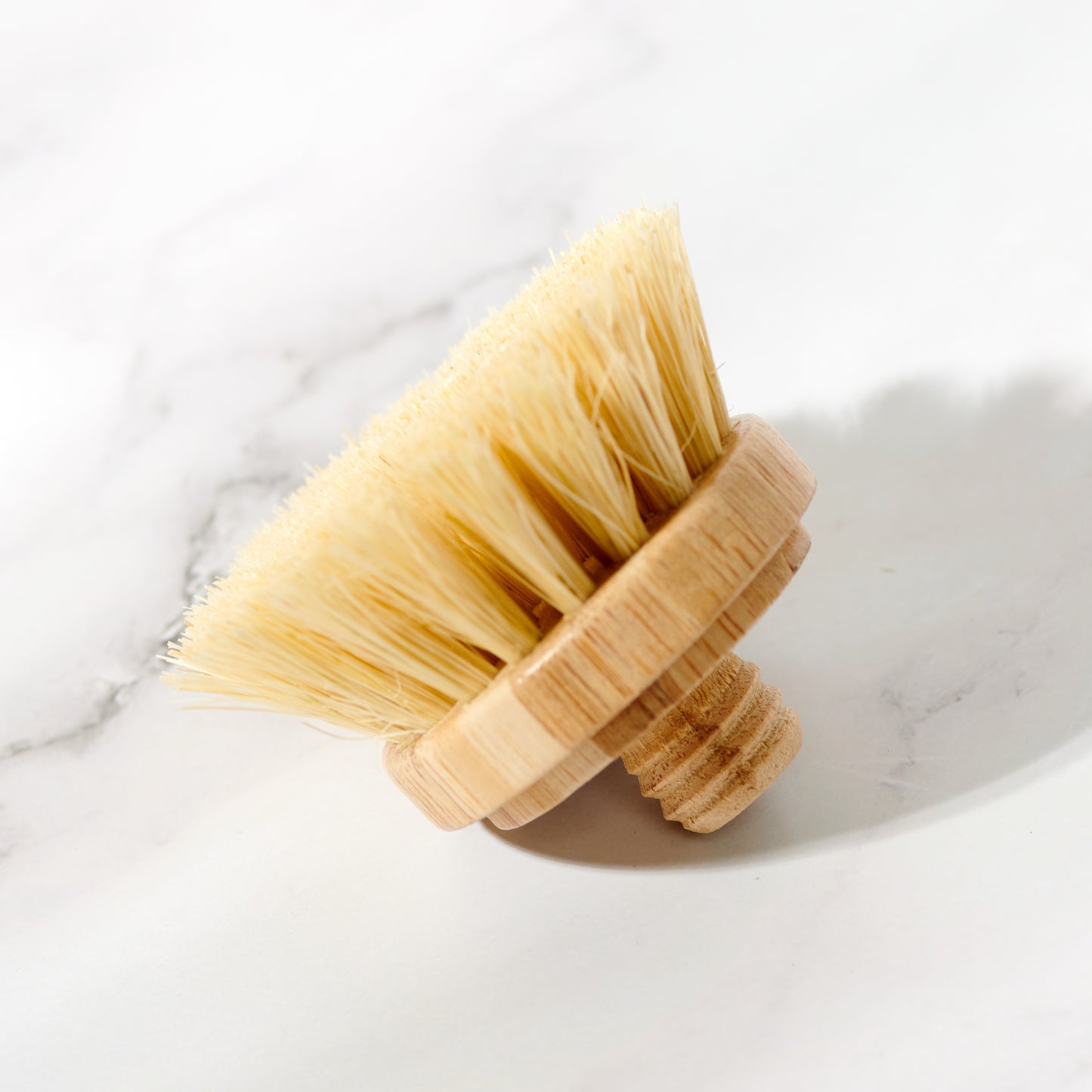 Replacement Head for Bamboo Dish Scrubbing Brush