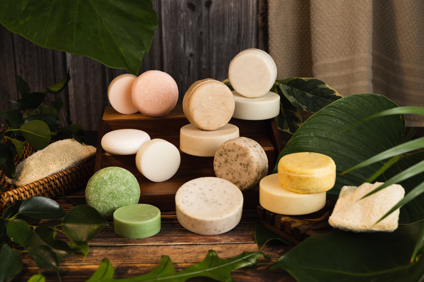 This image shows a natural loofah exfoliating pad which is used to scrub skin to exfoliate. It is a plastic free product designed for a more eco friendly zero waste sustainable routine. In this image the loofah exfoliating pad is shown next to the full range of solid shampoo and conditioner bars